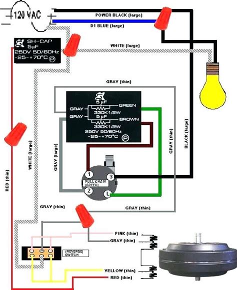 marie schema wiring diagram    switch ceiling fan  kitchen