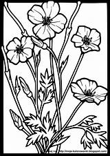 Stained Glass Kwiaty Kolorowanka Motyl Motyle Kolorowanki Malowanka Dzieci Poppies Window Wecoloringpage sketch template