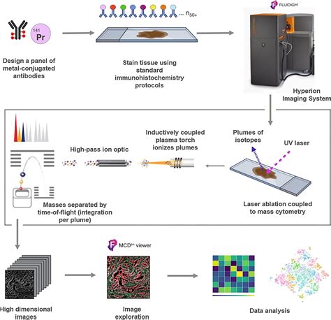 frontiers application  high throughput imaging mass cytometry