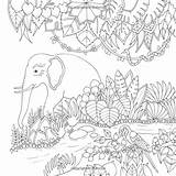 Jungle Basford Coloring Johanna Magical Book Pages Adults Expedition Books Inky Amazon Mandala Adult Color Colour sketch template