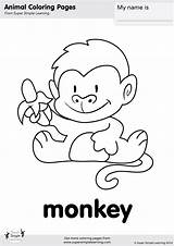 Monkeys Supersimple Jumping Pict Kidsuki Asd4 sketch template