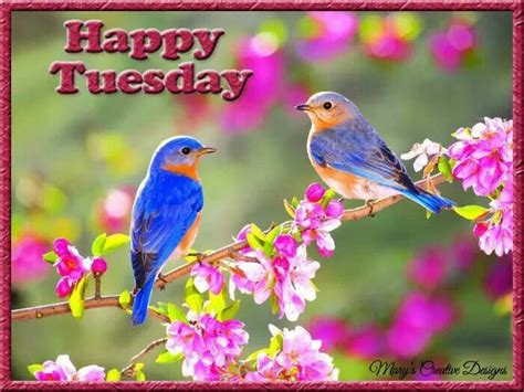 happy tuesday spring good morning messages good morning happy tuesday