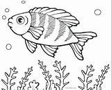 Fish Coloring Pages Cartoon Fishing Saltwater Boy Puffer Real Color Small School Printable Getcolorings Lure Template Shape Colorin Print Colorings sketch template