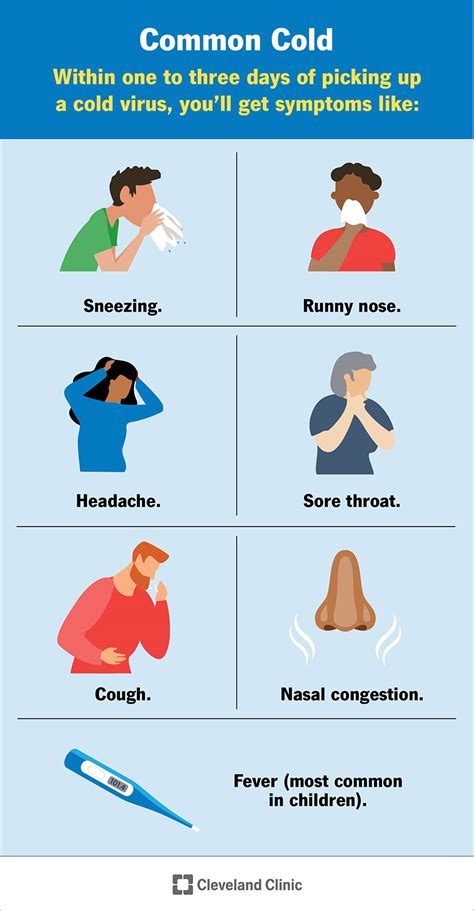 common cold symptoms cold  flu treatment