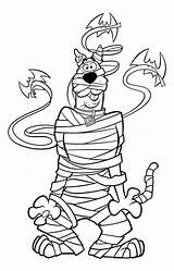 Doo Scooby Daphne Velma Shaggy sketch template
