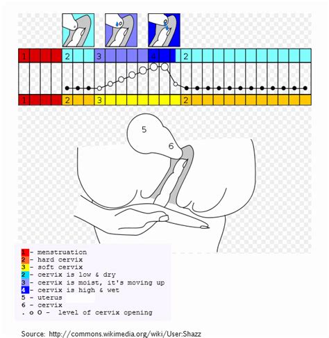 Pin On Pregnancy Home Birth