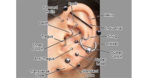 Getting A Cartilage Piercing Know This First Ear Piercings Ear