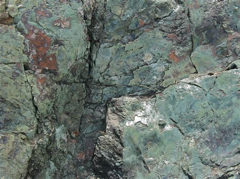 company  plants  rocks mysterious green rock continued