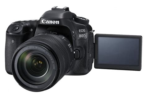 semi professional cameras  detailed list