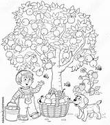 Coloring Picking Apples Cartoon Garden Boy Children Book Funny Fruits Cute Stock sketch template