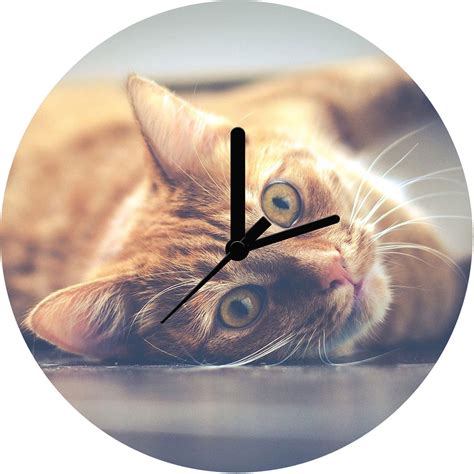 cat personalised wall clock  etsy