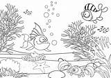 Drawing Ecosystem Sea Under Coloring Pages Habitat Underwater Kids Pond Drawings Getdrawings Paintingvalley Drawn Printable Seascape Labels sketch template
