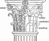 Greek Corinthian Ancient Column Architecture Order Capital Ionic Columns Architectural History Doric Greece Another Just Classicalwisdom Roman Classical Orders Details sketch template