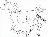 Coloring Pages Horse Galloping Getcolorings Mom sketch template
