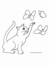 Cat Coloring Pages Butterfly Butterflies Clipart Clip Catching Drawing Playing Cats Drawings Funny Print Kids Printable Cliparts Animal Library sketch template