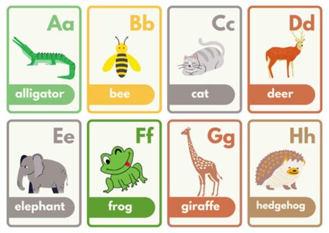 animal flash cards     preschool