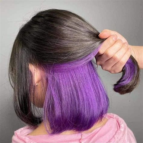 hairstyle short combine purple  brown  hair color hidden hair