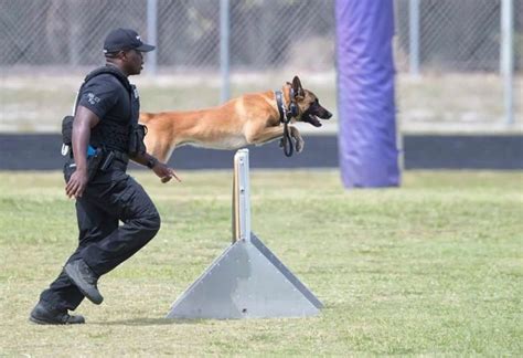 canine miami police department