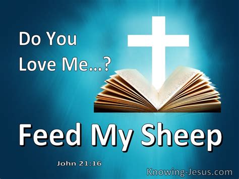 john    love  feed  sheep utmost