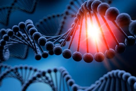 Curiosiando 🤔🧐 Genes Y Cromosomas Un Gen Es Un Segmento De Adn Que