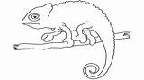 Chameleon Entitlementtrap sketch template