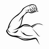 Arm Muscle Vector Strong Flexing Line Muscles Thin Clip Symbol Bicep Clipart Illustrations Muscular Flex Man Pose Illustration Vectors Strength sketch template