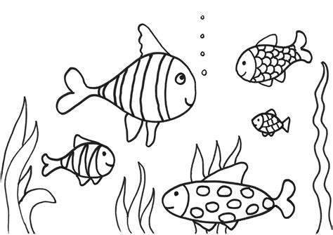 simple fish coloring pages   print