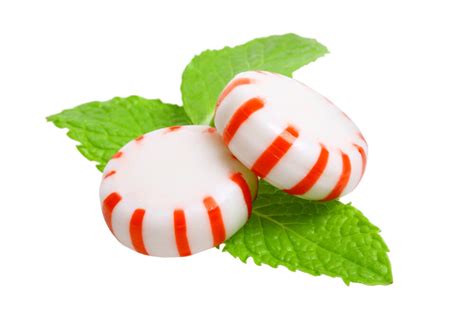 how to use peppermint to improve your fitness