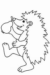 Hedgehogs Kids Coloring Pages Fun sketch template