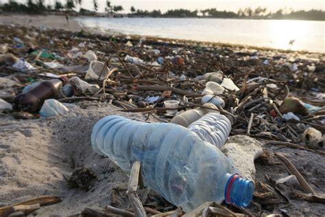 global plastic pollution center  leadership  global sustainability