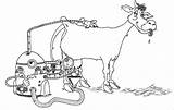 Milking Cow sketch template
