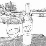 Winery Livermore Caddis sketch template
