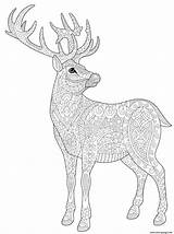 Coloring Reindeer Deer Pages Adults Stag Christmas Doodle Adult Printable Vendido Produto Por Etsy Book sketch template