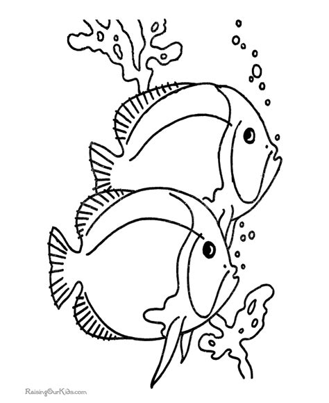 fish coloring book pages
