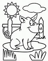 Coloring Printable Pigs Popular Pages sketch template