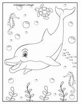 Delfin Malvorlage sketch template