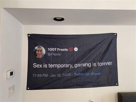 Sex Is Temporary Gaming Is Forever Flag Tee List