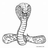 Snake Schlange Schlangen Cool2bkids Malvorlagen sketch template