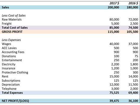 beginners guide  profit  loss statements