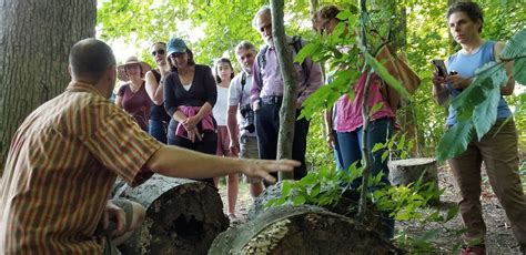 Foraging For Edible Mushrooms Heritage Conservancy
