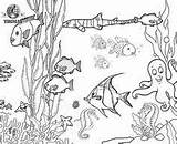 Coloring Pages Ocean Habitats Fish Sea Animals Colouring Printable Kids Habitat Creatures Birds Aquarium Animal Tropical Planet Sharing Unit Grade sketch template