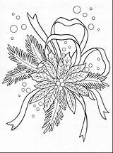 Coloring Poinsettia Christmas Pages Printable Adult Para Noche Buena Sheets Embroidery Drawing Fabulous Natal Getdrawings Navidad Colouring Cache Ec0 Bordar sketch template