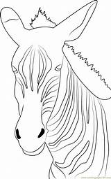 Zebra Angry Coloring Pages Coloringpages101 Online sketch template
