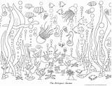 Coloring Pages Ocean Sea Under Life Waves Colouring Kids Color Sheet Deep Adult Adults Clipart Drawing Sheets Print Do Dolphin sketch template
