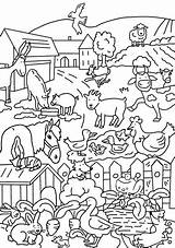 Bauernhof Ausmalen Bild Tiere Cartoon Toonpool 2436 Katze sketch template