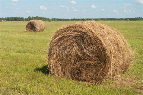 haystack stock images image