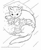 Kitten Coloring Pages Real Getcolorings sketch template