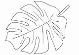 Monstera Bladeren Kleurplaat Crayola Palmier Feuille Palmboom Feuilles Tropicales Kleurplaten Arbre Coloringfolder sketch template