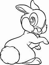 Bambi Thumper Rabbit Panpan Wecoloringpage Lapin Gratuitement Imprimez sketch template