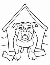 Kolorowanka Buldog Angielski Budzie Kennel Kolorowanki Psy Cani Puppy Druku Bulldogs Kategorii sketch template